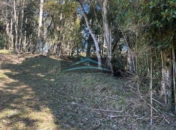 Foto 01 · Terreno, Morro Chato, Rancho Queimado, SC