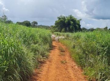 Rural , São Miguel do Araguaia · Fazenda em São Miguel do Araguaia, dupla aptidão. 
