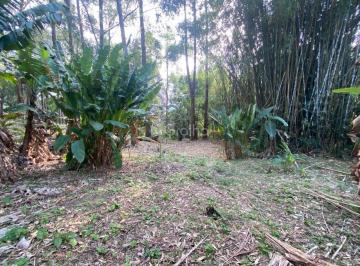 Foto 02 · Terreno de 1.500m² no Pantanal