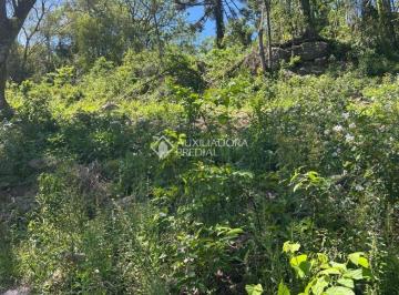 745825_i33Qb4gZ8u_74582568dad0a0af0ef.jpg · Loteamento Bosque das Araucárias - Linha Imperial