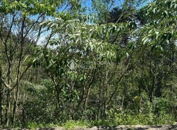 745832_i58U2y23_74583268dac857684e1.jpg · Terreno 378 m2 -Loteamento Bosque das Araucárias - Linha Imperial Nova Petrópolis