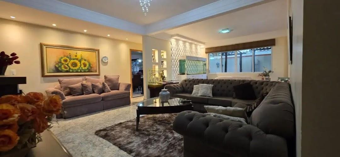 Foto - Samambaia - Samambaia