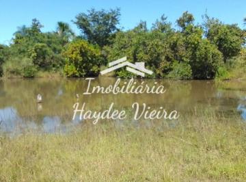 Rural · 340m² · 2 Quartos · Fazenda a venda no Tocantins, 340 Alqueires, 7km de distância da Br 010