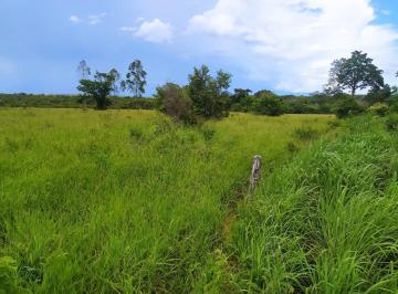 resSU1HXzk5OTcuSlBH68daf763a6f6a5.60593423.jpg · Oportunidade! Vendo Fazenda 470 hectares, com casa em Buritizeiro-MG
