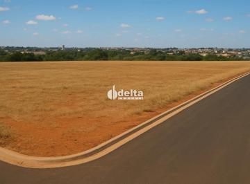 Terreno · 5000m² · Terreno comercial de 5.000 m², disponível para venda no Centro Empresarial Leste em Uberlândia.