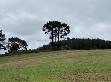 cd3a42103c1542d71be00efdb18b3b4b357b8aa3 · Fazenda à venda, 1306800 m² por R$ 9.000.000 - Bom Sucesso - Castro/PR