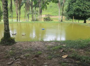 Rural de 3 quartos, Miracatu · Fazenda em Miracatu COD: 5818 F:(11) 97302-9229 CESAR