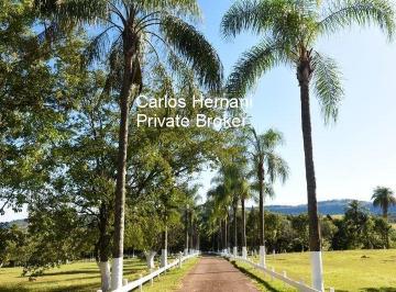 Foto 01 · Sitio, Zona Rural, Cássia dos Coqueiros, SP