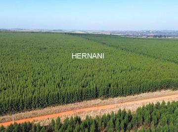 Foto 08 · Imperdível oportunidade de investimento: Fazenda à venda em Itu-SP, com 7.770.000,00 m² de área!