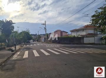 Terreno/Lote · Terreno (terreno normal)