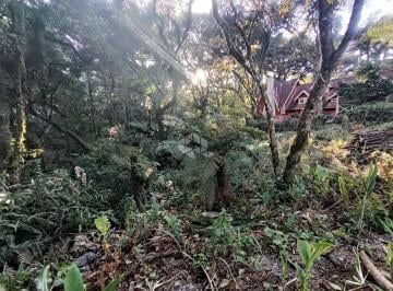 712067_iD79K43ZqJ83nw4_71206768d59b1b15982.jpg · Terreno vila suiça