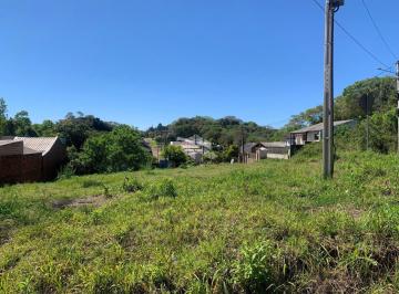 714235_iE5618QdYe62S84mIv_71423568dc28e8e05bd.jpg · Terreno amplo no Aliança - aceita permuta