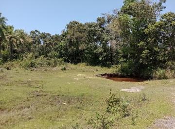 Rural · 1760000m² · Fazenda com nascentes e preço muito especial, região próspera e harmoniosa.