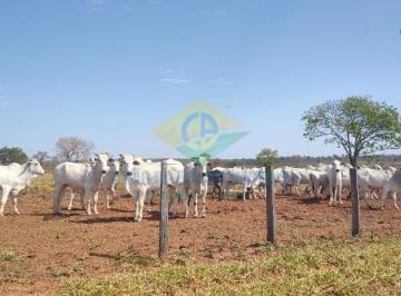 Foto 01 · Fazenda, Rochedo Ms, Rochedo, MS