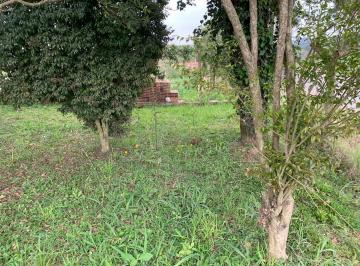 img_1491-jpeg1759260940969.jpeg · Imoveis - em Área Rural de São José dos Pinhais