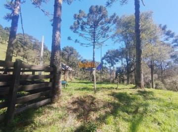 5gqlk802ogq3zgu2ztvjndgw_md · SITIO COM 17 hectares URUBICI- SC APENAS 850 MIL ! APROVEITE!