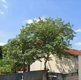 894761cbf8913818c1f82420a81ccf3b82780789 · Terreno à venda, 843 m² por R$ 640.000 - Jardim Rafael - Caçapava/SP