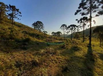 b922816b11918feeb2a67e0435cb7173e02c5967 · Sítio com 1 dormitório à venda, 197200 m² por R$ 770.000,00 - Paraibuna - Cunha/SP