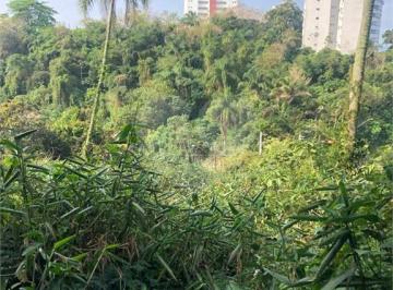Terreno · 555m² · Terreno à venda em Ilha porchat - SP
