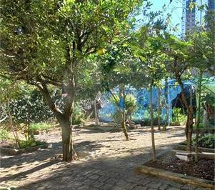 Casa de 4 quartos, Curitiba · Casa Com Amplo Quintal No Ecoville 4 Quartos - 216m²