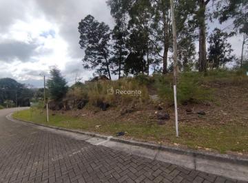 Terreno · 576m² · Terreno em Pórtico, Gramado/RS de 576m² à venda por R$ 800.000,00