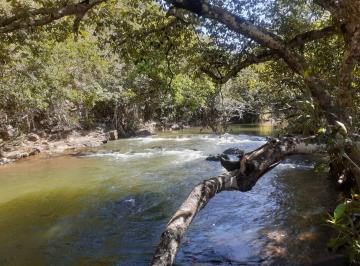 Rural , Alto Paraíso de Goiás · LINDO TERRENO BEIRA RIO, 140 METROS DE MARGENS DO SÃO MIGUEL, CHAPADA DOS VEADEIROS