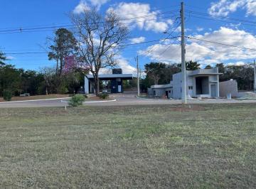 Terreno · 250m² · Paraíso nas Alturas: Onde o céu é o limite (mas o preço não)!