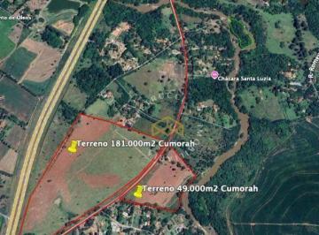 77b2aacc7dd66029af08d4f4896d75158b6752c9 · Área à venda, 230000 m² por R$ 46.000.000,00 - Bananal - Campinas/SP