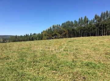 e53fac00eb02bd67d970b288b443ba37dec7b992 · Terreno à venda, 4000 m² por R$ 2.000.000,00 - Sousas - Campinas/SP