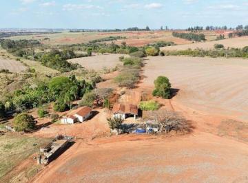 d9176d634500db6667f7cc0b8026023ece11823a · FAZENDA EM CANA À VENDA – TATUÍ/SP