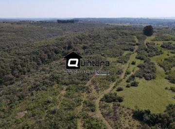 Rural · 2100000m² · 1 Quarto · Vendo 210 hectares em Caçapava do Sul