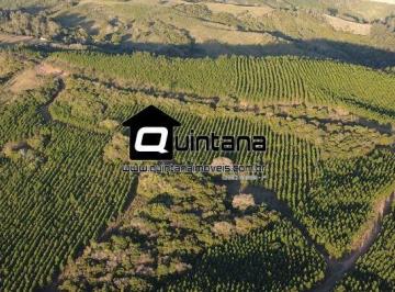 Rural · 1800000m² · Fazenda de pinus em piratini