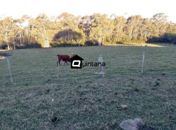 Rural · 20000m² · 1 Quarto · Vendo chácara na Capela da Buena de 2 hectares
