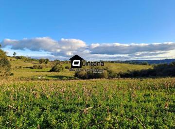 Rural · 130000m² · Sítio de 13 hectares no faxinal em Canguçu