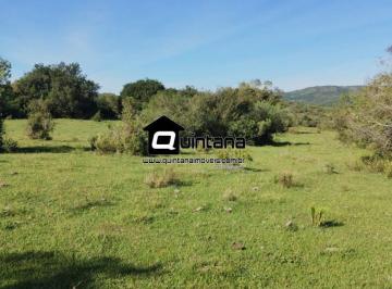 Rural · 3000000m² · FAZENDA DE 300 HECTARES EM HERVAL