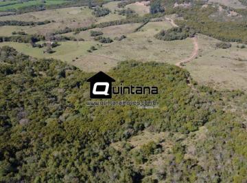 Rural · 420000m² · VENDO 42 HECTARES EM SANTANA DA BOA VISTA