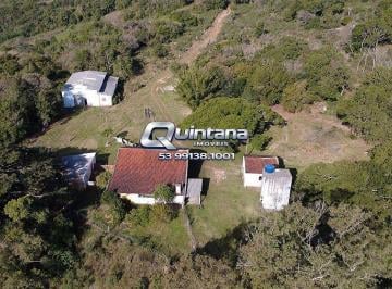 Rural · 60000m² · 4 Quartos · 5 Vagas · Chácara 6 Hectares com Casas e Açude na Cascata Pelotas