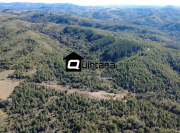 Rural · 830000m² · VENDO 83 HECTARES COM REFLORESTAMENTO
