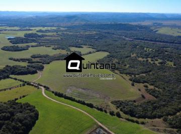 Rural · 2100000m² · Vendo campo em Santana da Boa Vista nas margens da BR
