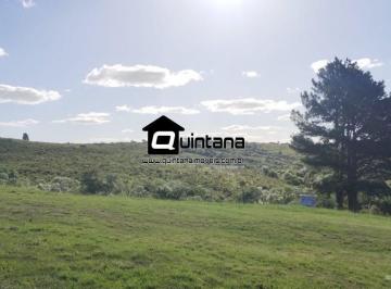 Rural · 700000m² · 2 Quartos · Vendo 68 hectares em Herval RS