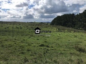 Rural · 15000000m² · FAZENDA 1500 HECTARES EM PINHEIRO MACHADO