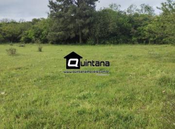 Rural · 680000m² · 2 Quartos · Vendo 68 hectares em Herval RS