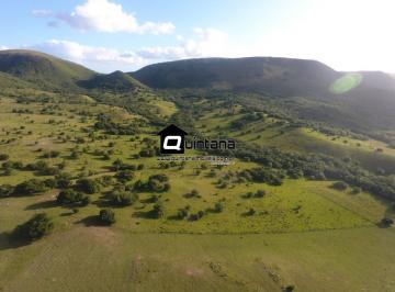 Rural · 1550000m² · VENDO FAZENDA EM HERVAL 155 HECTARES