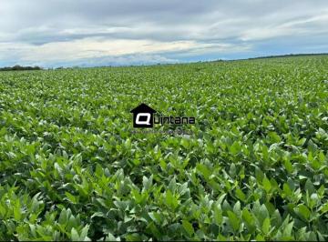 Rural · 4100000m² · Fazenda em Cachorira do Sul 410 hetcares