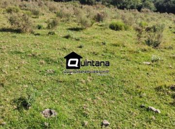 Rural · 4500000m² · FAZENDA DE 450 HECTARES EM HERVAL