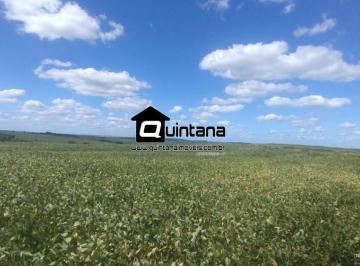 Rural · 2880000m² · Vendo fazenda 288 hectares em Herval