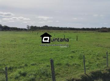 Rural · 470000m² · 2 Quartos · 1 Vaga · Vendo 47ha porteira fechada 1 km da BR