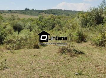 Rural · 770000m² · Fazenda 77 hectares em Pinheiro Machado