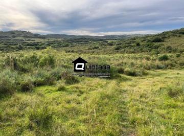 Rural · 200000m² · Sítio de 20 hectares em Piratini
