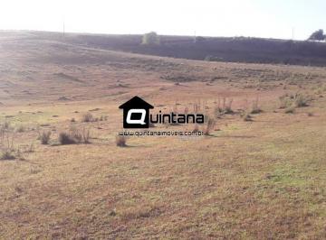 Rural · 3000000m² · Fazenda para pecuária em Pinheiro Machado 300 hectares